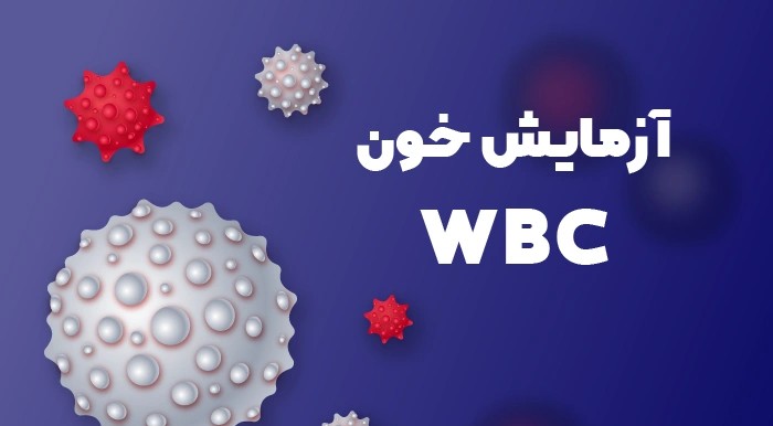 دانلود آزمایش WBC خون چیست؟ رایگان