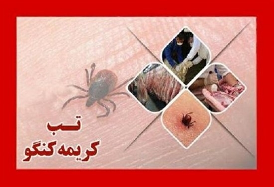 دانلود تب کریمه کنگو رایگان