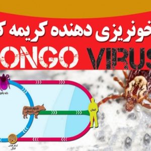 همه چیز درباره تب کریمه کنگو