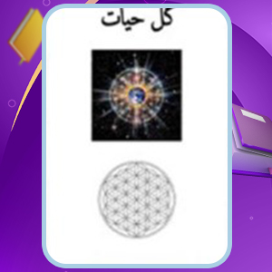 📕دانلود فایل پی دی اف کتاب گل حیات درونوالو ملچیزدک (PDF) 99 صفحه